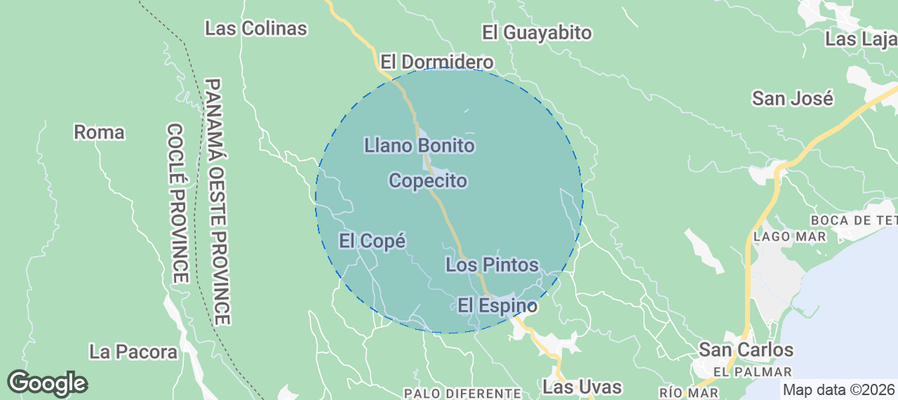 San Carlos District Airbnb map